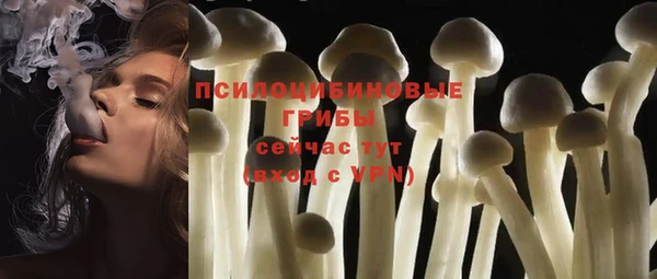 2c-b Алзамай