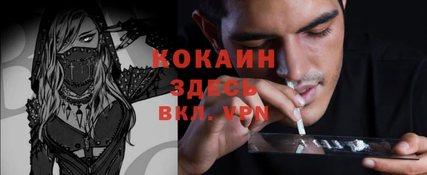 2c-b Алзамай