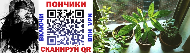 Шишки марихуана OG Kush  blacksprut   Пущино 